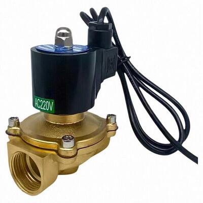 BOPU博普电磁阀喷泉防水常闭型全铜电子阀2A-15 10 20 25 32 40 5