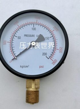 双0压力表mm 10K2~PS100 0英文 0280G径刻度CM20 I直 雷派  y-/0