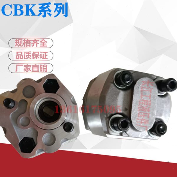 CBK-F2.1 F1.6 F3.2 F1.2 等各种排量缩轴侧进侧出动力单元齿轮泵