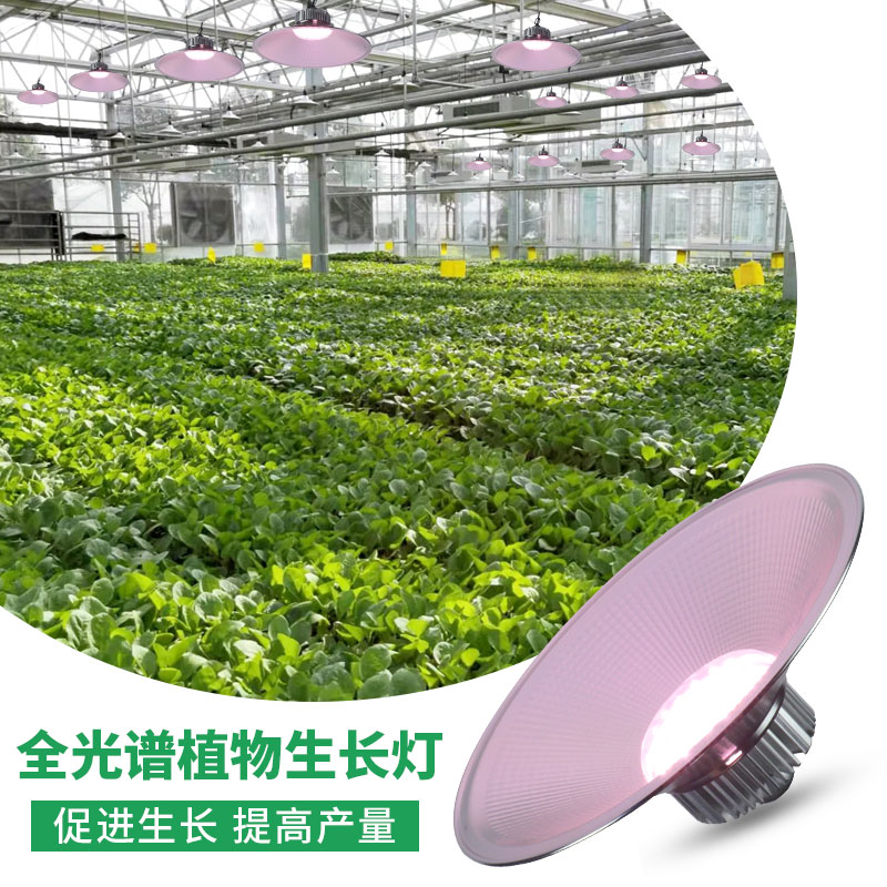 全光谱植物灯生长灯LED工矿灯仿太阳大棚温室育苗家用多肉补光灯