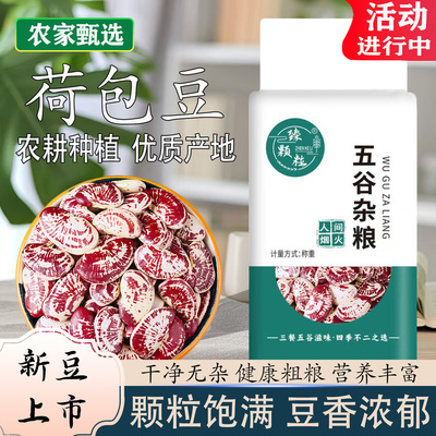 真空装大荷包豆新豆上市豆香浓郁