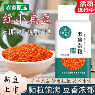 新鲜红小扁豆新货甘肃农家扁豆土耳其马粟豆兵豆番茄红色扁豆