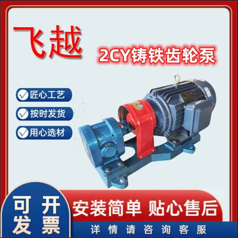 铸铁齿轮皂液输送泵2CY系列齿轮油泵2cy4.2喷射燃油润滑泵,五金/工具,其它泵类型,淘宝优惠券,粉丝福利购,淘宝优惠卷