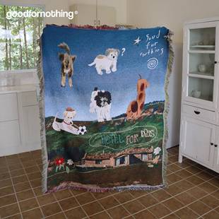 goodfornothing一无是处流浪狗之家艺术挂毯沙发毯针织盖毯野餐垫