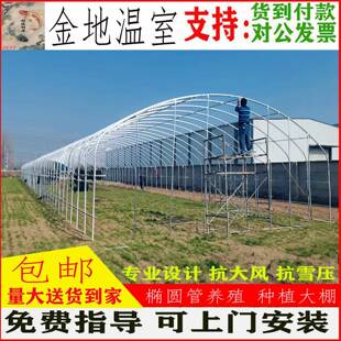 温室大棚骨架蔬菜农业养殖鸡定制养猪保温镀锌钢管支架棚架全套