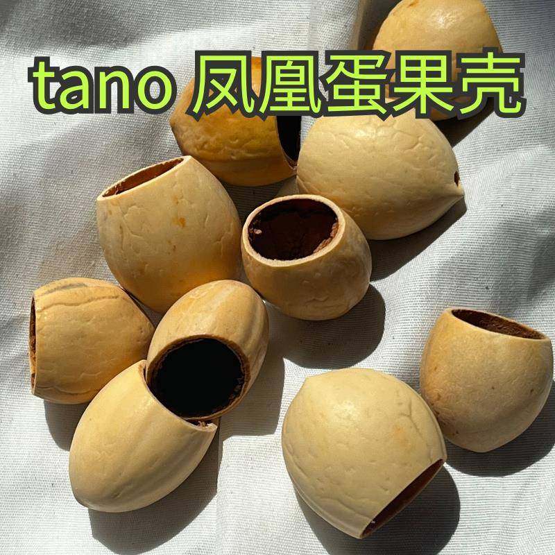 精选凤凰蛋果壳 散装打孔摇铃材料风铃 diy 乐器配件手作果壳铃