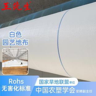 王先生漫反射白色反光地布玻璃温室加厚耐磨防草布白色