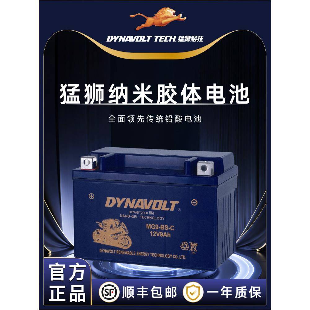 轻骑大韩骁胜gv300gv250 gv650大脚怪坦影250巡风GT650R摩托电瓶图片