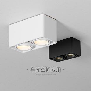 筒灯双头斗胆灯客厅照明吸顶灯卧室防眩无主灯斗胆射灯 爱斯兰明装