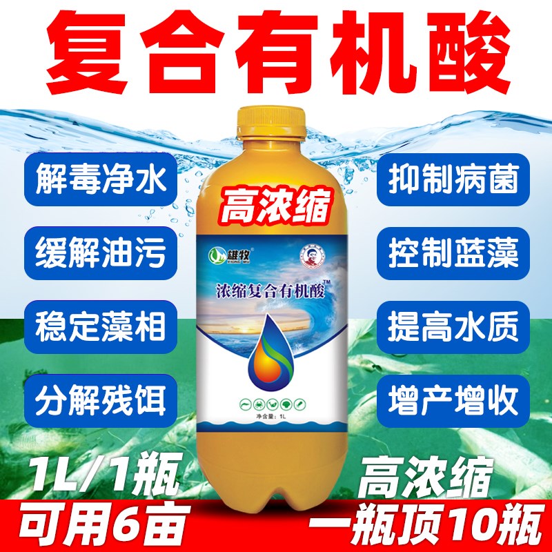 高浓缩复合有机酸分水产养殖鱼虾蟹塘N分水除油膜水质净化