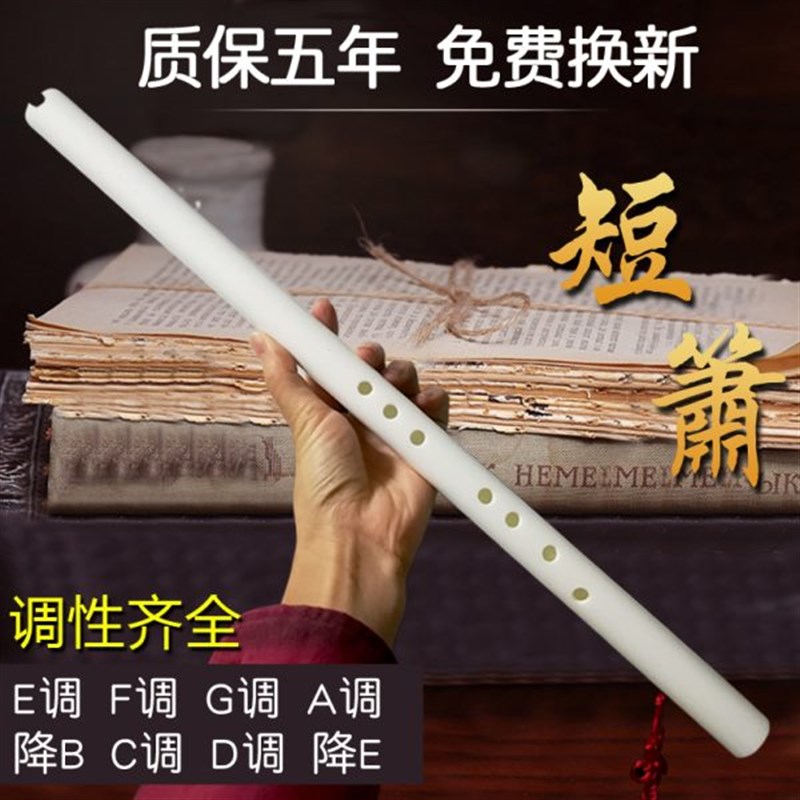 洞箫 乐器初学入门 水管八孔萧 防裂六G孔反手A调降B调E调C调短萧