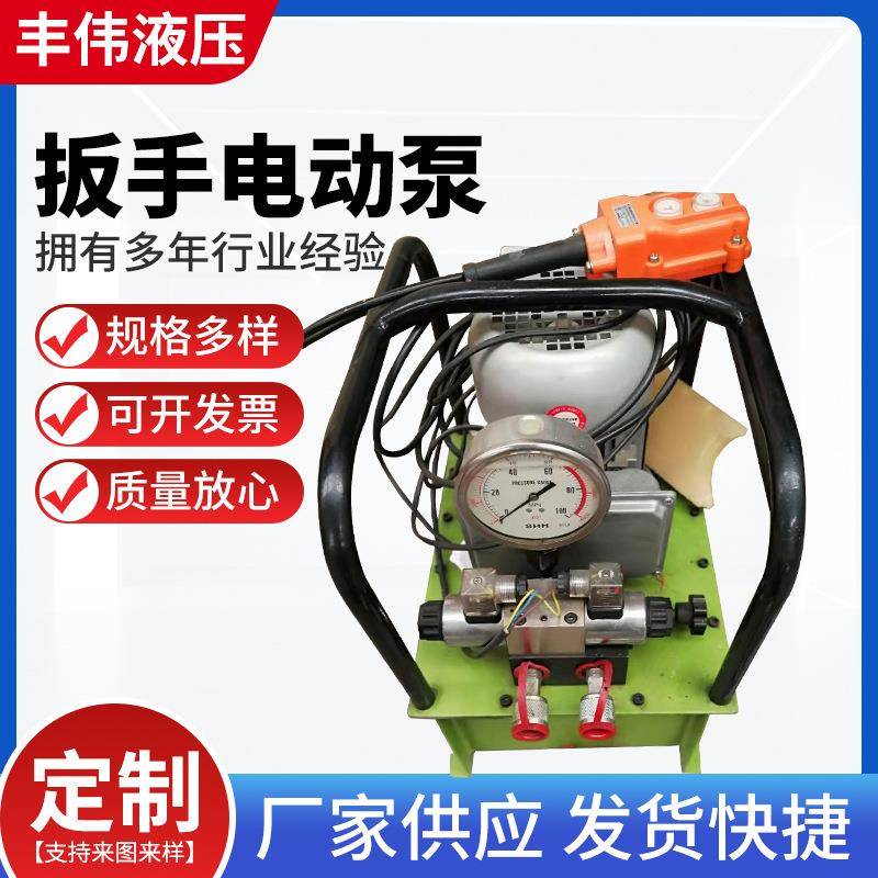 液压泵电动油泵液压扭力泵非标液压泵液压扳手电动泵