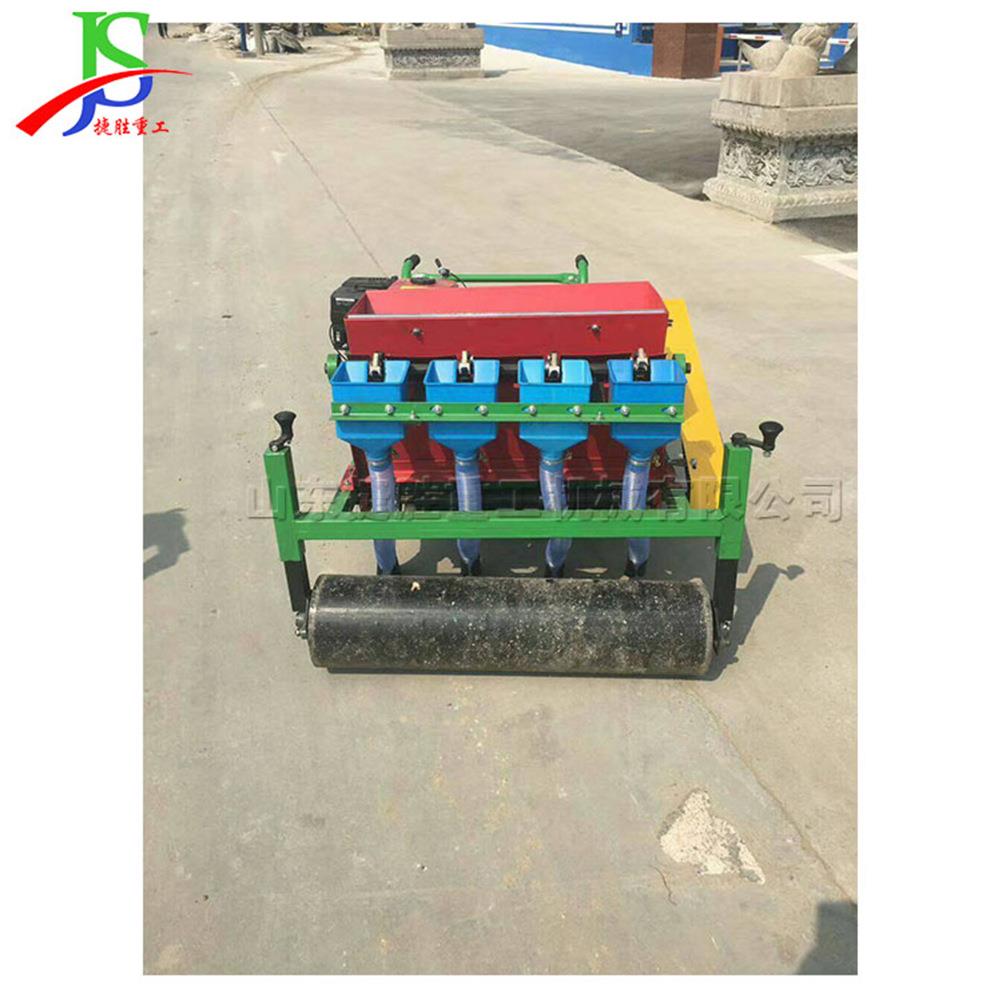 汽油可调节大蒜播种机 平原丘陵大蒜种植机 小型手推式高速种蒜机