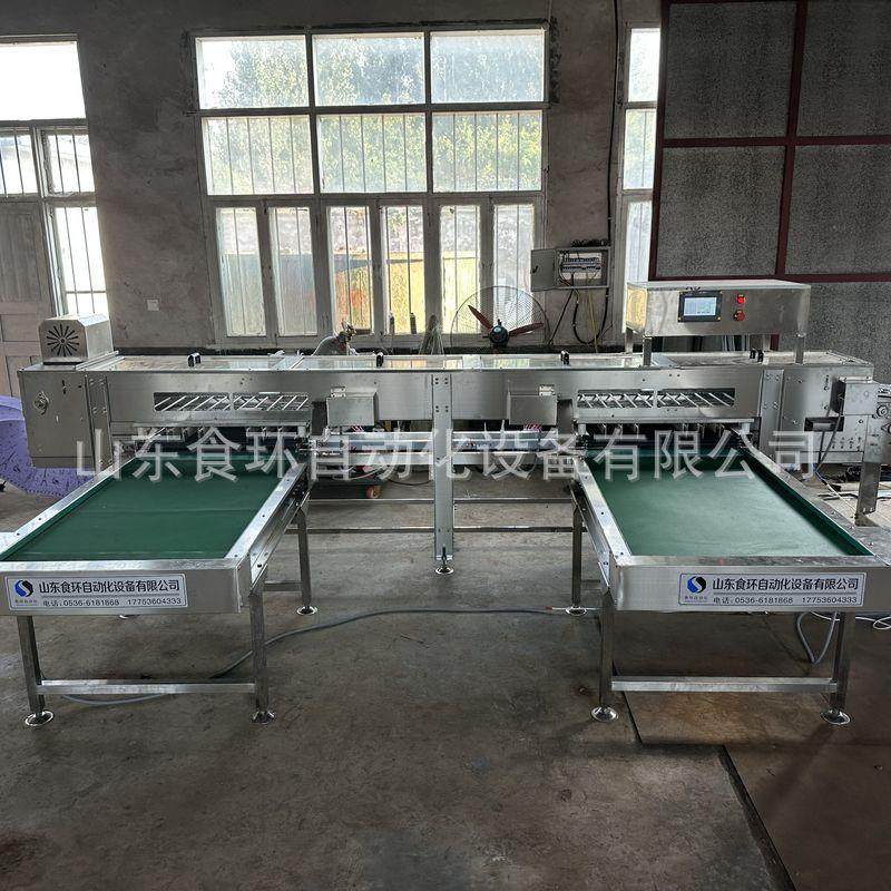 6排脏污蛋检测蛋裂纹蛋ai视觉检测产线鸡蛋鸭蛋电子重量分级,清洗/食品/商业设备,其他食品加工设备,淘宝优惠券,粉丝福利购,淘宝优惠卷