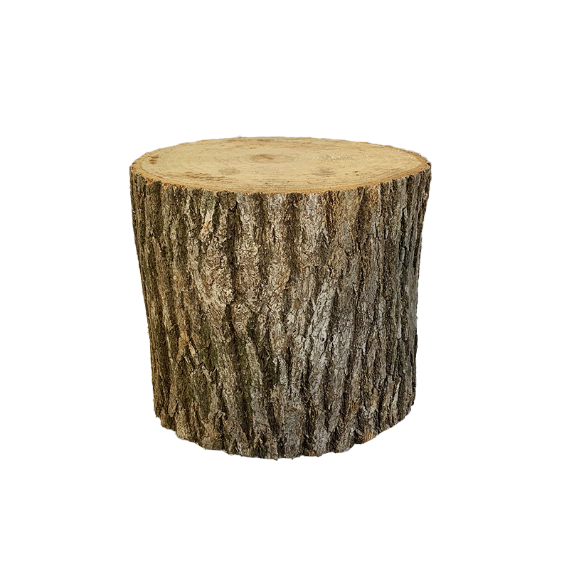 木墩 带树皮田园tian然树桩花架实木根雕香樟木原木摆件圆形包邮