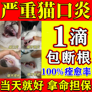 猫口炎特效药猫咪流口水牙龈红肿烂嘴肉芽溃烂疡挠嘴口臭口腔喷剂
