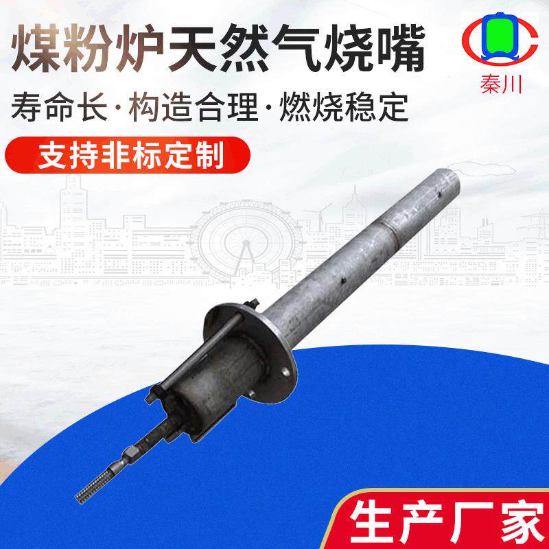 煤粉炉天然气烧嘴长明灯小火引大火厂家供应全自动点火枪烧嘴
