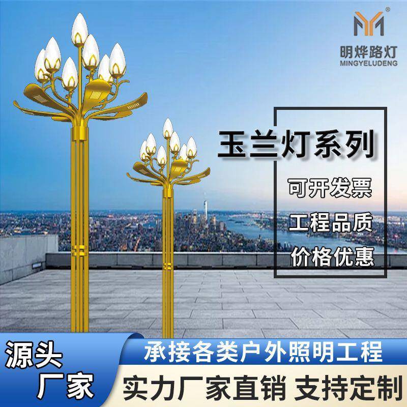 源头厂家8米10米led玉兰灯高亮度市政中华路灯广场大型景观灯