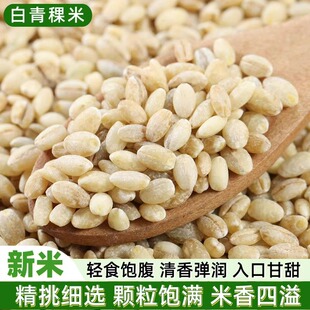 白青稞米新米杂粮低脂粗粮正宗白青稞米粒五谷米大麦粒优质青稞米