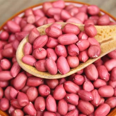 红皮花生米去壳正宗东北农家原味新鲜干货红衣花生打豆浆补血花生