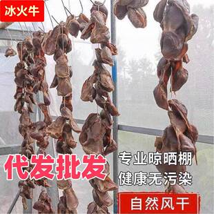 【1斤装】江西特产风干鸭胗腊鸭胗鸭肫鸭肾农家自制咸鸭胗鸭庆子