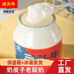 图腾牧场三头牛奶皮子老酸奶内蒙古奶皮子酸奶经典老酸奶桶装营养