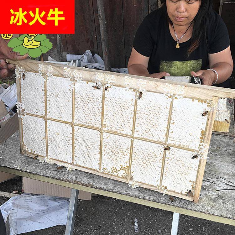 荆条蜂巢蜜300g 盒装农家自产土蜂蜜百花蜜峰巢蜜一件