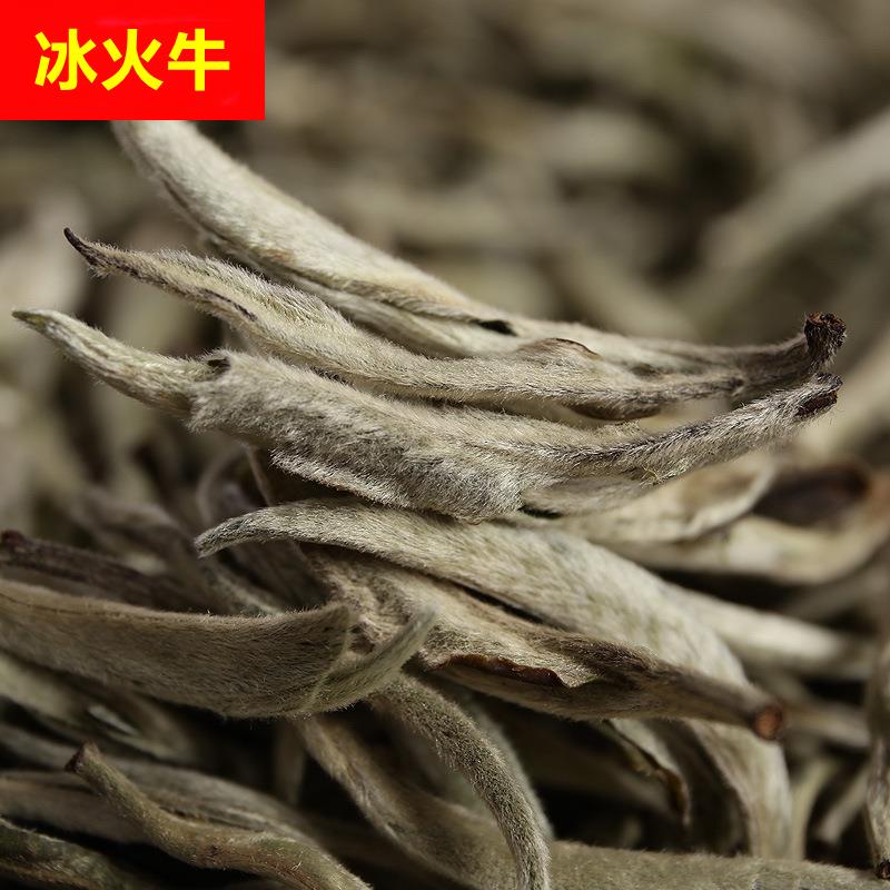普洱茶生茶 2025头春白毫银针大白毫单芽 月光白茶(小芽)散