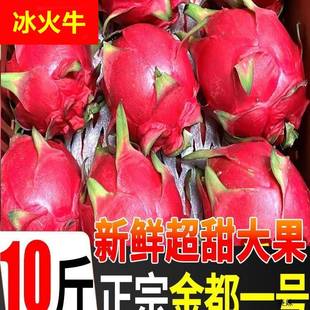广西金都一号红心火龙果10斤新鲜蜜孕妇宝红肉当季水果红龙果大果