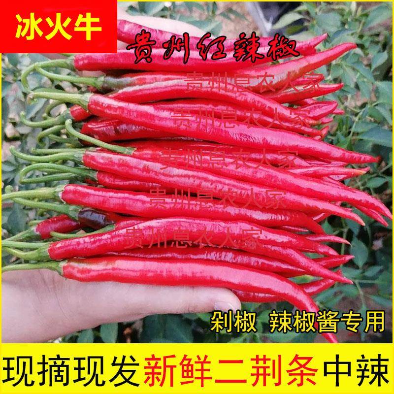 贵州新鲜红线椒鲜红辣椒二荆条红海椒农家自种新鲜蔬菜长红椒现摘