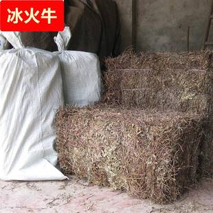 福建仙草凉粉草1kg 无土凉茶饮料原料 仙草冻 邱福平福建仙