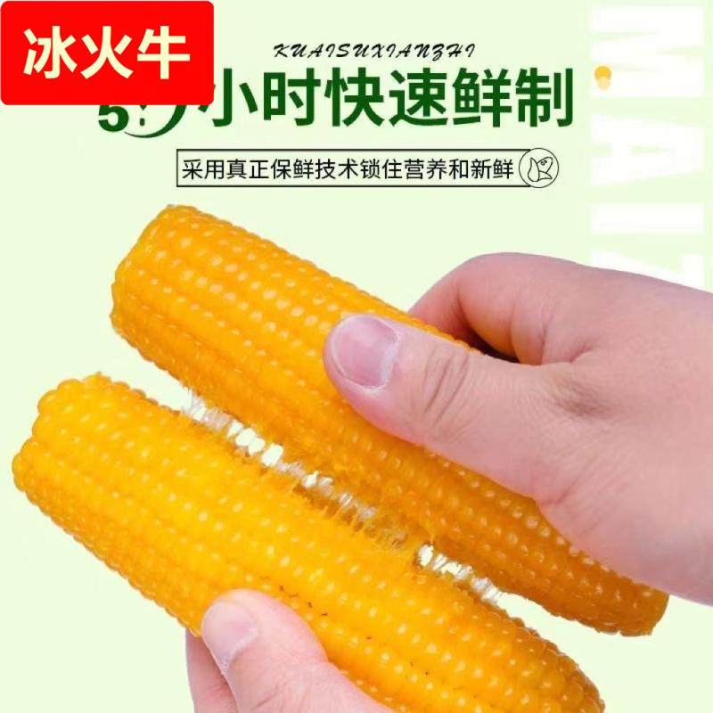 东北黄糯玉米棒22010支真空装黄苞米现摘新鲜甜玉米粗粮厂家