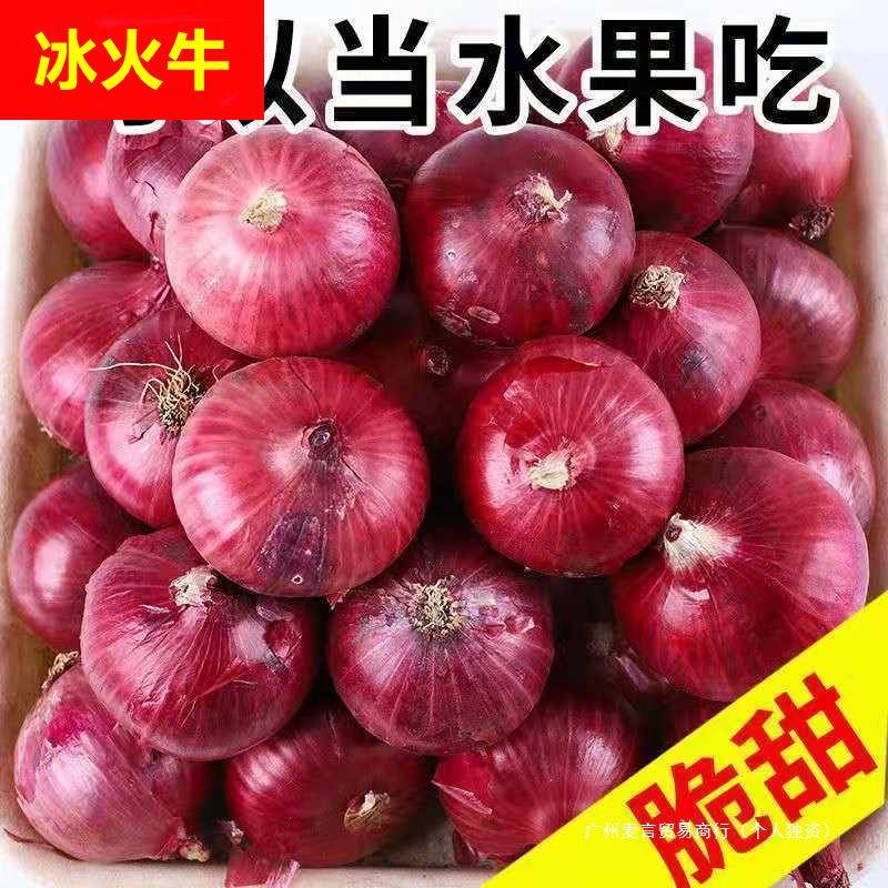 农家现挖水果洋葱5斤脆甜紫皮新鲜蔬菜圆葱头整箱包邮优普通洋葱