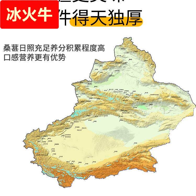 新鲜桑葚干免无沙洗桑甚干桑椹子黑桑葚干500g包邮