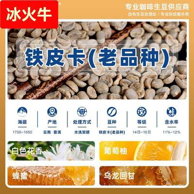 老品种铁皮卡云南小粒咖啡生豆 水洗架晒处理 可代烘焙精品咖啡豆