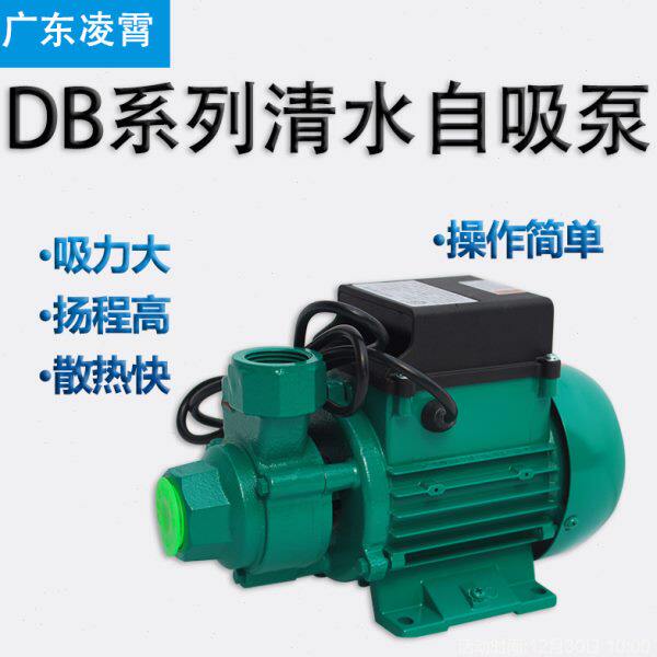 凌霄1DB-35/45/65抽水机清水泵循环泵加压泵增压泵家用泵旋涡泵