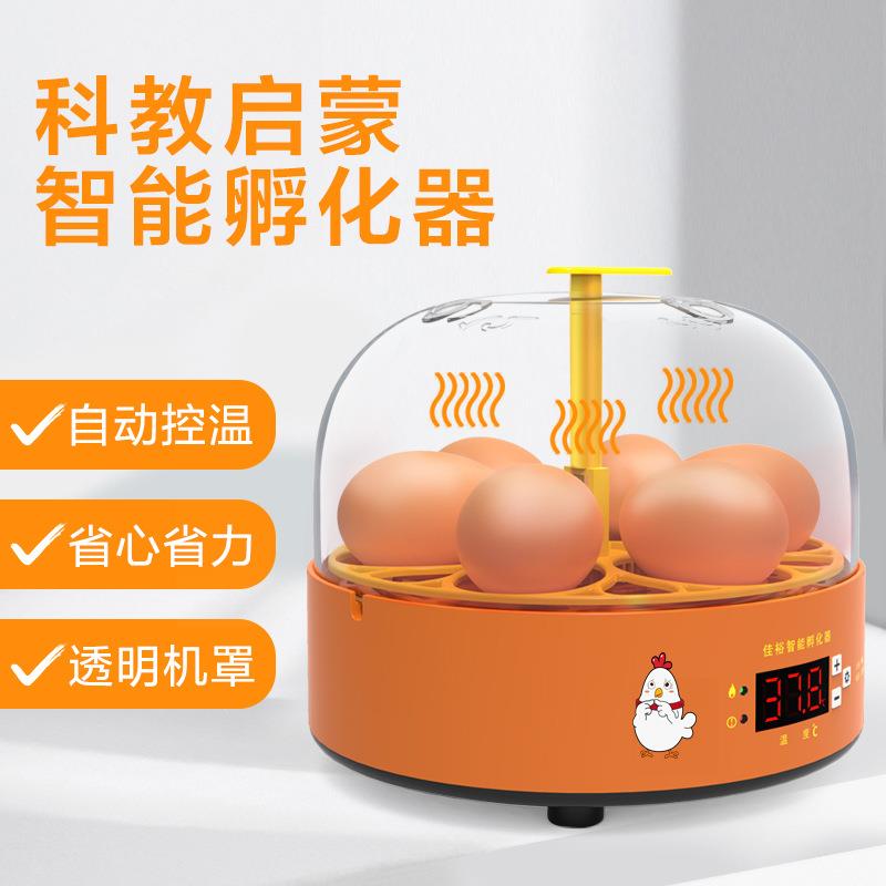 实验孵蛋器小鸡孵化器小型家用全自动鸡蛋孵化箱儿童智能孵化机
