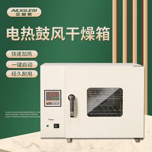 烘箱电热烘干箱烤箱热风循环鼓风干燥箱电热恒温实验室工业烘箱