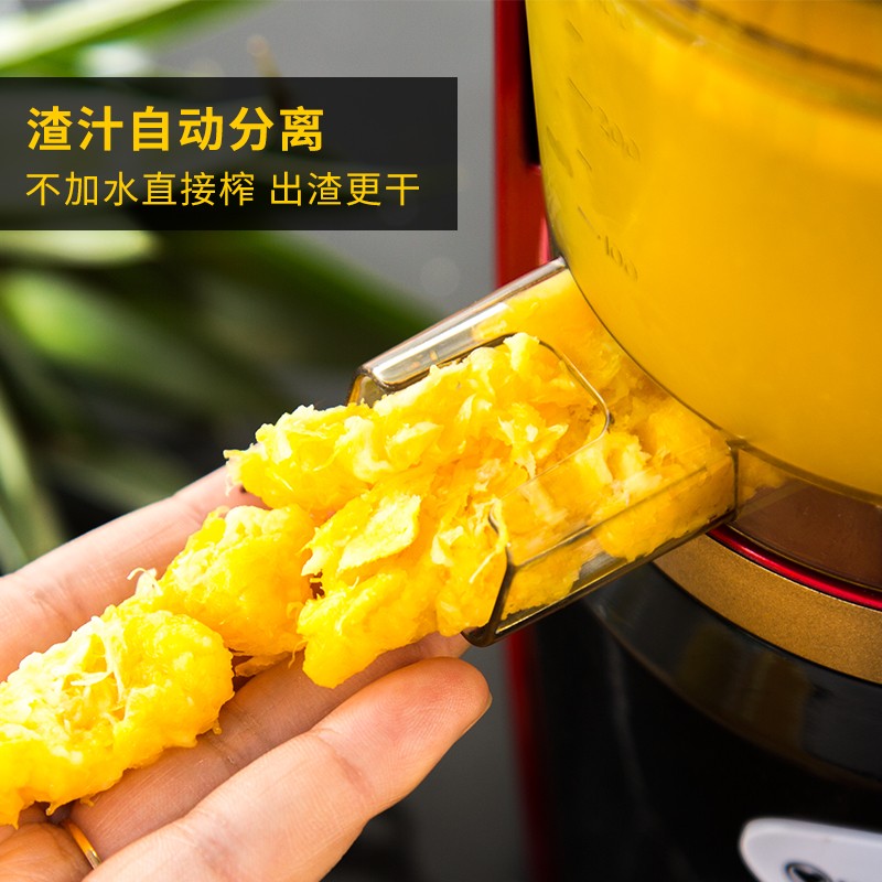 渣分离榨汁机家用全自动果蔬多功能原汁机小型炸水果汁机低速扎咋