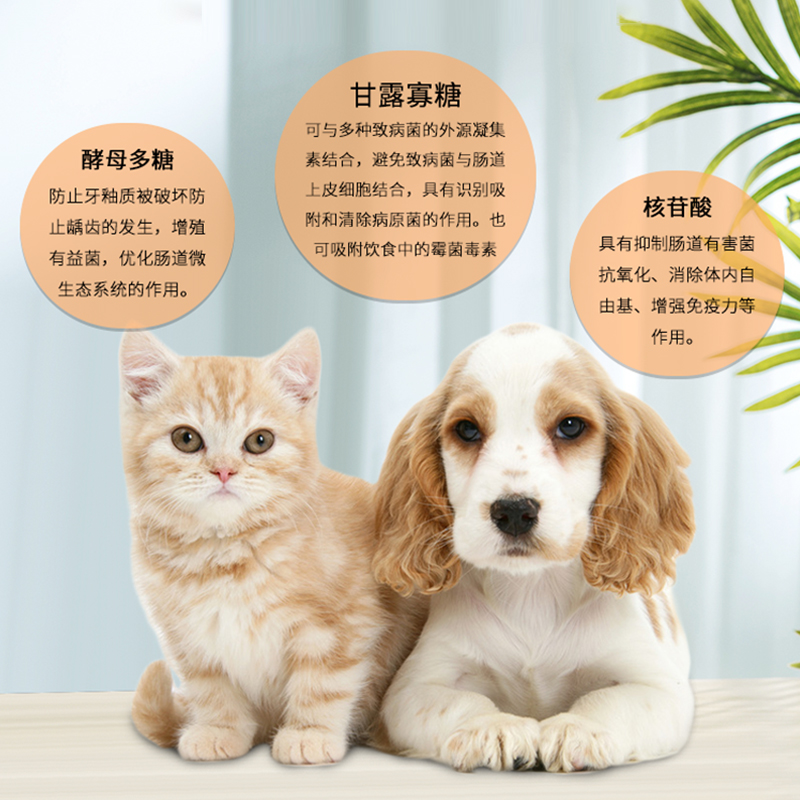 新宠适洁牙粉宠物猫咪牙齿清洁口腔狗狗减少口臭牙结石替代漱口水