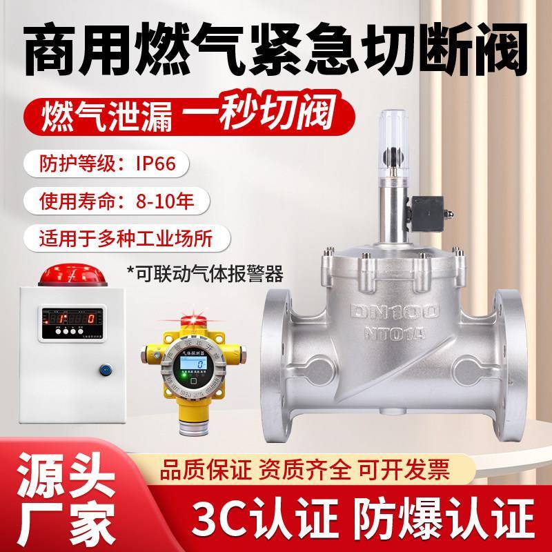 商用燃气泄漏报警器自动切断阀天然气电磁式紧急法兰控制工业dn50