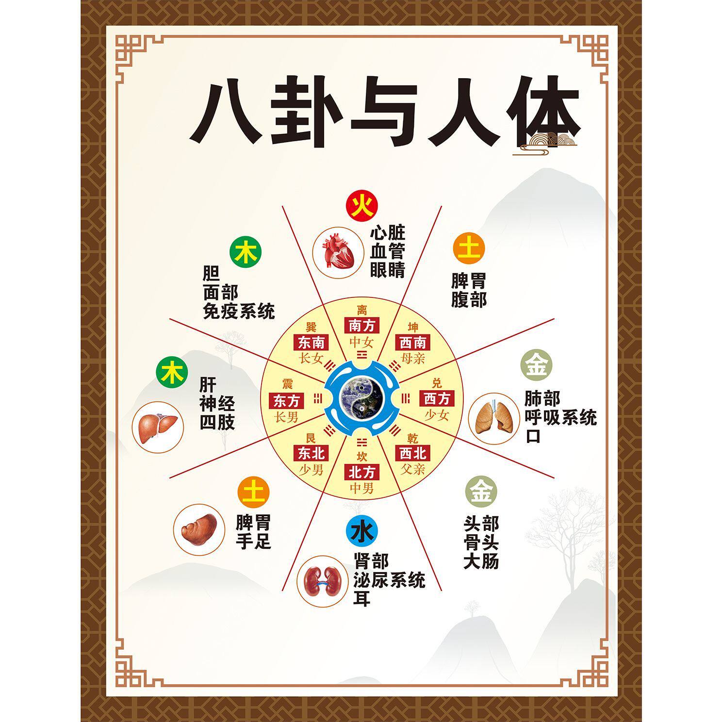 中医养生馆八卦与人体五行图解人体五行五脏相生海报贴图装饰画