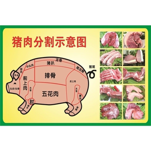 生鲜猪肉分割示意图墙壁画贴纸摊位超市场卖土猪肉广告自粘海报
