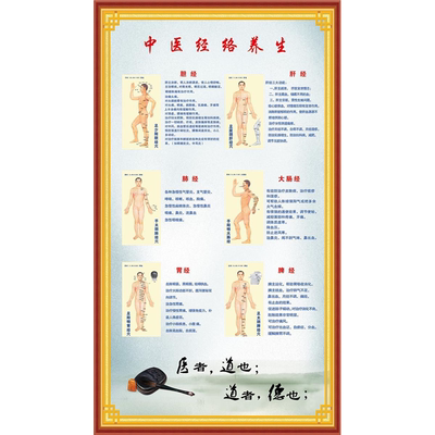 经络养生好转症状介绍海报宣传图中医养生馆装饰画贴画广告纸