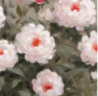 第四个225434984手机图片手机壁纸自己截图电脑壁纸