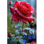 手机图片手机壁纸自己截图电脑壁纸第二个自己截图