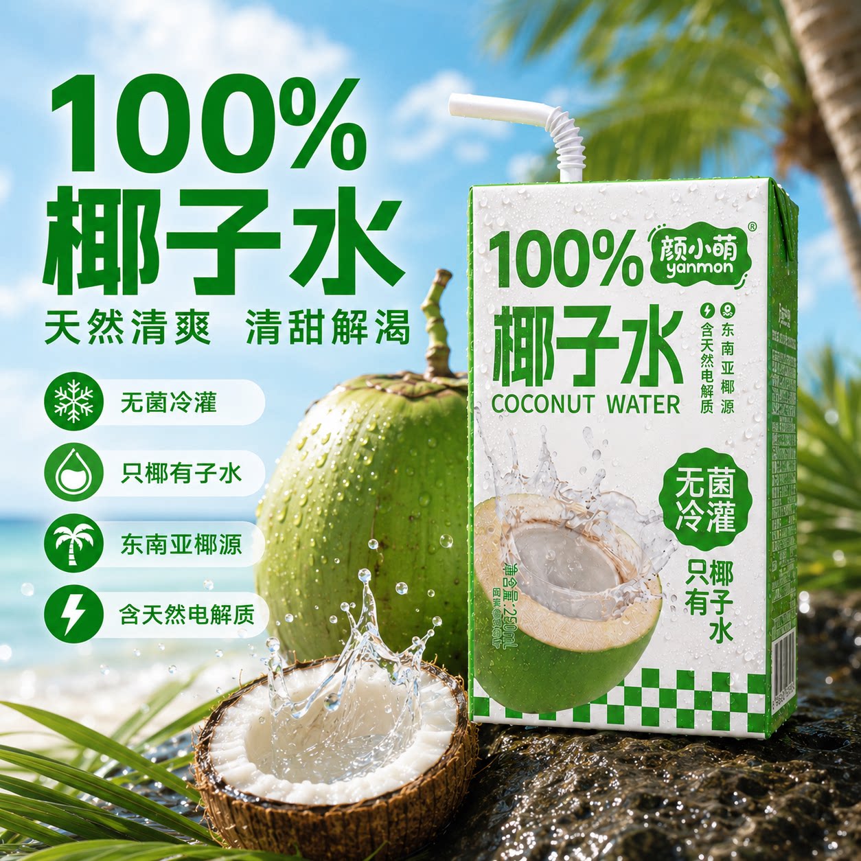 颜小萌椰子水250ml*10盒装