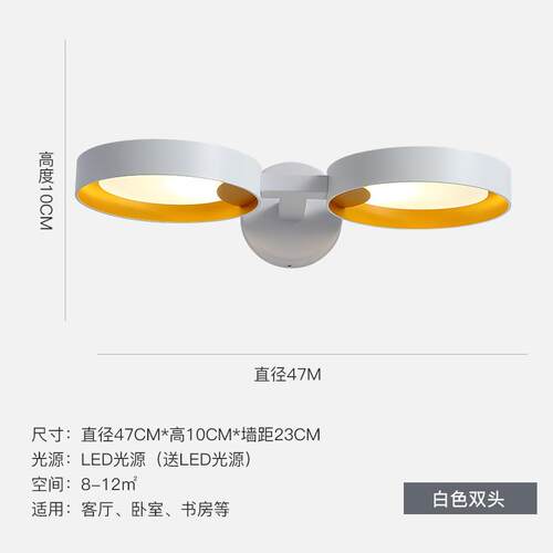 Потолочный светильник吊灯Ceiling Light