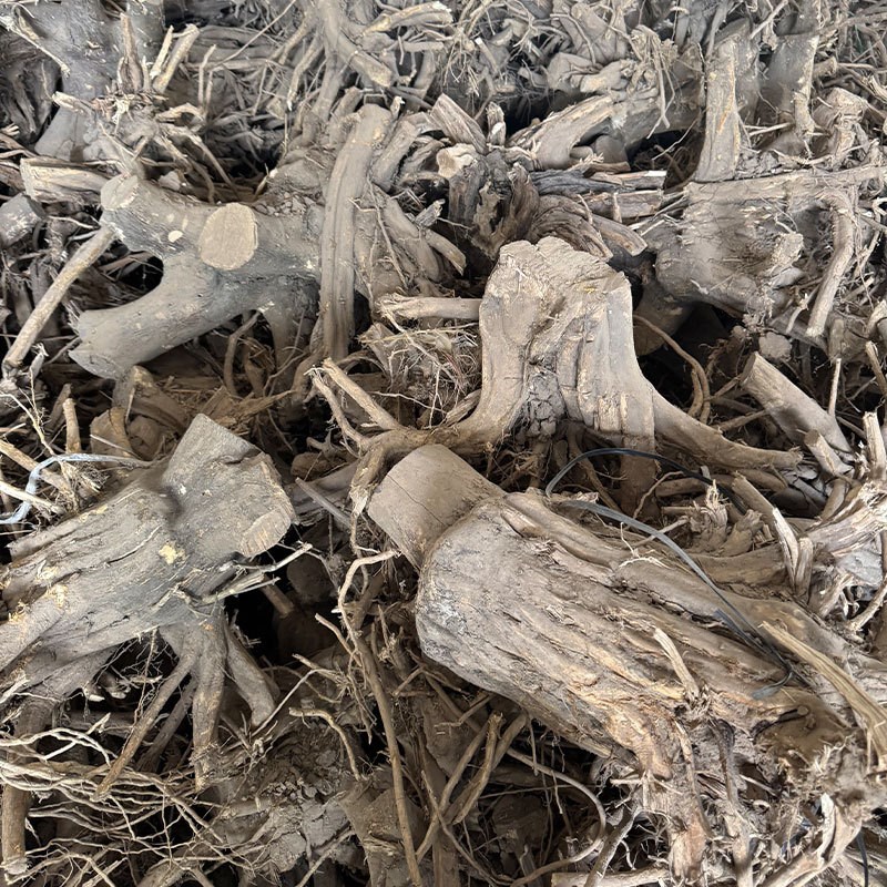 枯树根天然枯木景观木艺术造型造景木根客厅玄关餐厅特大摆件装饰