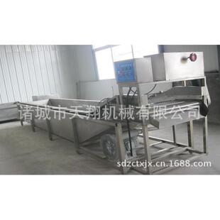 供应气泡清洗机果蔬清洗机绿色蔬菜清洗机厂家供应售后保障